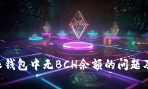如何解决B特派钱包中无BCH余额的问题及常见疑问解析
