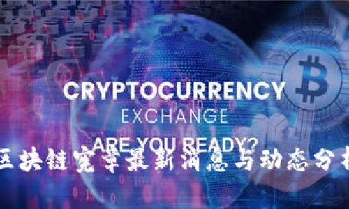 区块链宪章最新消息与动态分析