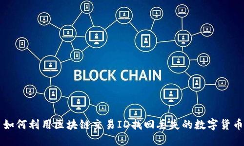 如何利用区块链交易ID找回丢失的数字货币