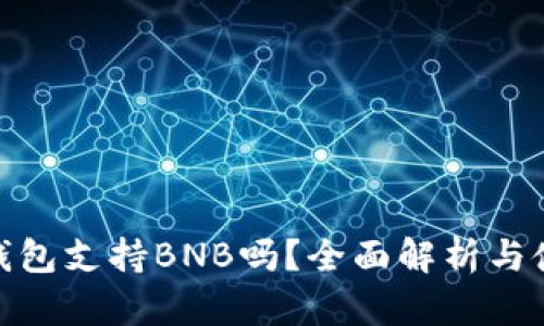 Bitpie钱包支持BNB吗？全面解析与使用指南