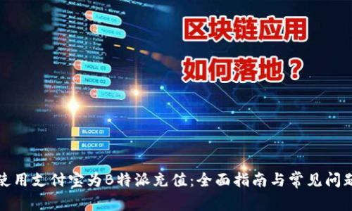 如何使用支付宝为B特派充值：全面指南与常见问题解答
