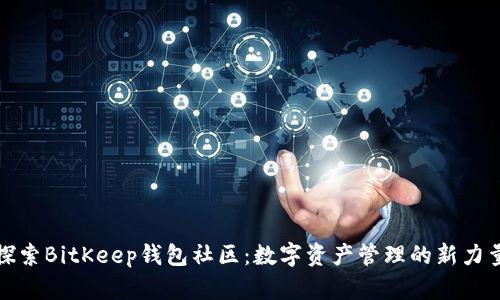 探索BitKeep钱包社区：数字资产管理的新力量
